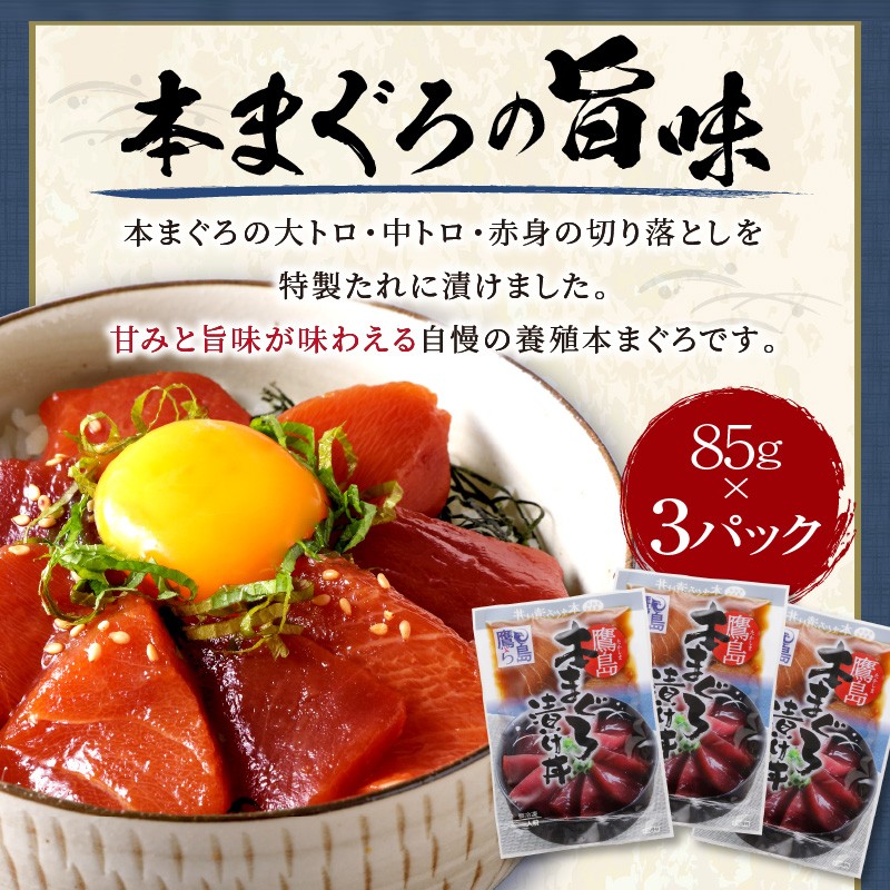 鷹島産本まぐろ 特製醤油に漬け込んだ本まぐろ漬け3人前( 本マグロ まぐろ マグロ 鮪 丼 漬け 大トロ 中トロ 赤身 海鮮 時短 漬け丼 )【A9-026】