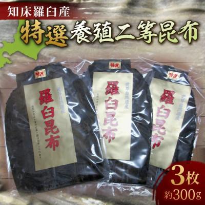 ふるさと納税 羅臼町 羅臼昆布 養殖 二等 約300gセット 北海道 知床 羅臼産