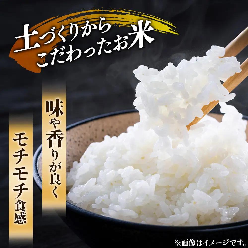 《令和8年産 新米受付》《定期便11ヶ月》【白米】あきたこまち 5kg・ひとめぼれ 5kg（各5kg×1袋：計10kg） 土作り実証米 合計110kg 秋田県産