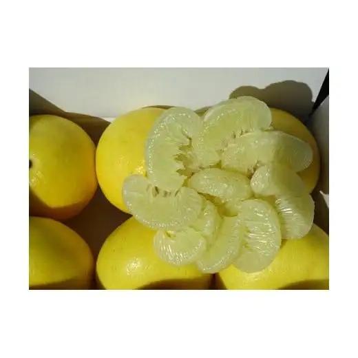 優品文旦 6kg