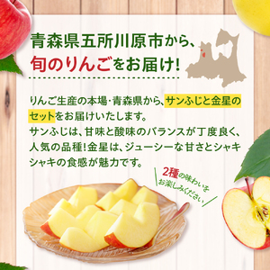 【2026年1月下旬発送】【訳あり】りんご 約5kg サンふじ & 金星セット 青森産