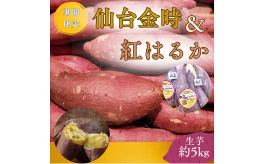 ＜宮城県産＞仙台金時・紅はるか　さつまいも計約5kg【1748709】