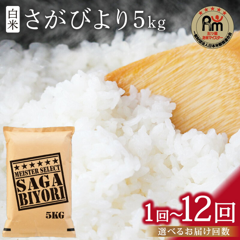 【ふるさと納税】《マイスターセレクト》さがびより【白米】5kg ＜回数が選べる／1回・3回・6回・12回 ＞【 米 白米 精米 さがびより 特A 定期便 5kg 15kg 30kg 60kg 】