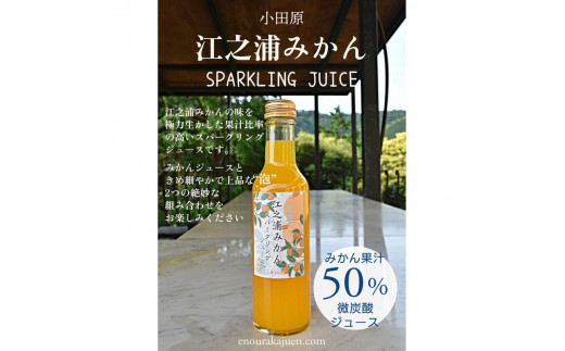 小田原産江之浦みかんスパークリングジュース果汁５０％２００ml３０本