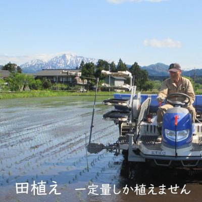 ふるさと納税 関川村 【毎月定期便】[極上]安心こだわり米 岩船産コシヒカリ精米6kg(3kg×2袋)[百姓屋]全6回 |  | 01