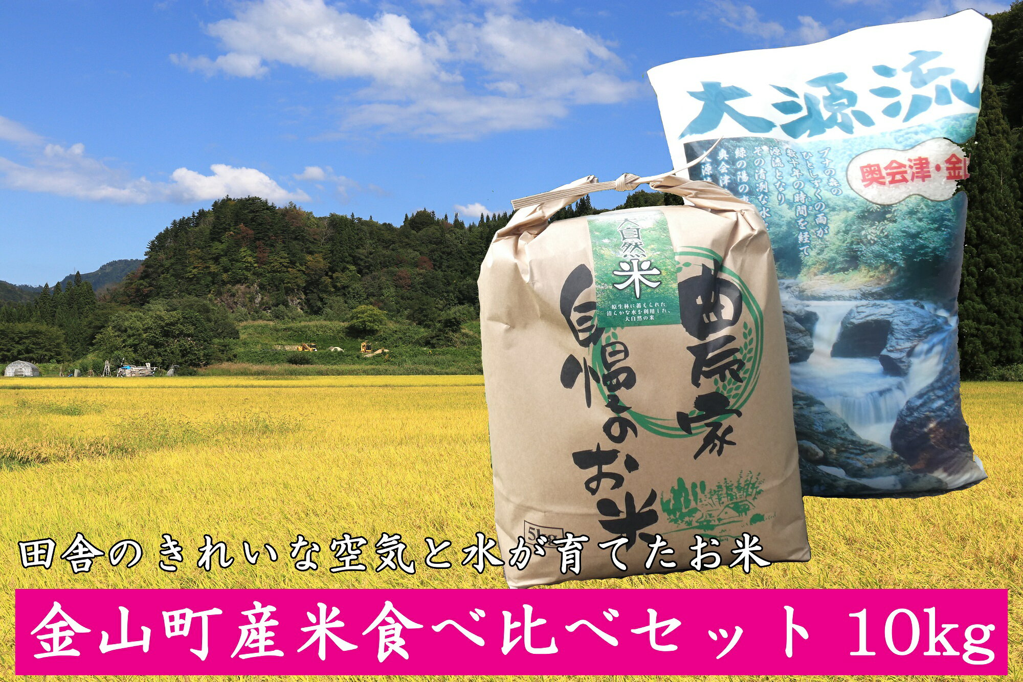 【ふるさと納税】【令和7年産】金山町産米食べ比べセット10kg　福島県　金山町　コシヒカリ5kg　ひとめぼれ5kg　減農薬　食べ比べ　精米　白米