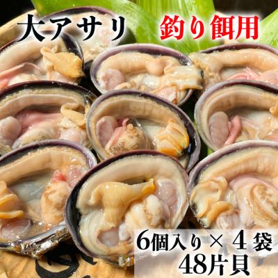 ふるさと納税 南知多町 【希少!漁師直送】【釣り餌用】純国産 天然大アサリ 半割り冷凍 6個入り×4袋セット