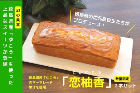 パウンドケーキ 2本 セット 国産 徳島県 スイーツ 洋菓子 柑橘 ギフト ※配送指定不可 ( 大人気パウンドケーキ 人気パウンドケーキ 絶品パウンドケーキ 至高パウンドケーキ 国産パウンドケーキ 徳島県産パウンドケーキ 徳島県パウンドケーキ ギフトパウンドケーキ お中元パウンドケーキ 贈答用パウンドケーキ 本格パウンドケーキ パウンドケーキ )