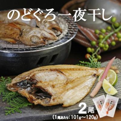 ふるさと納税 大田市 脂の乗り良し!のどぐろ一夜干し　2尾(1尾あたり101〜120g)　N33E