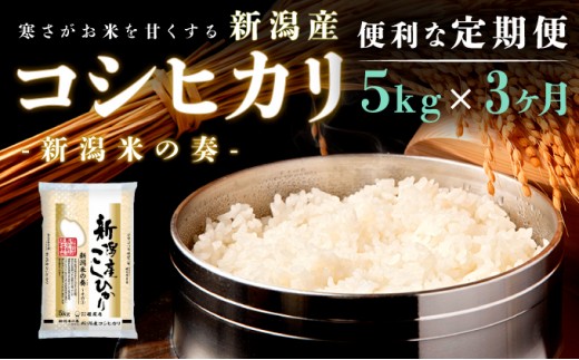 
                  新潟産コシヒカリ 3か月定期便令和8年産 5kg こしひかり定期便 新米 新潟県 新潟市
                