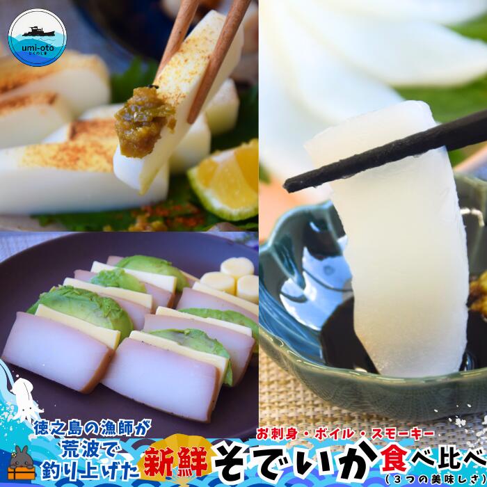 【ふるさと納税】徳之島の漁師が荒波で釣り上げたそでいか 食べ比べ お刺身・ボイル・スモーキー （ 3つの美味しさ ソデイカ いか イカ 大型のいか 回遊 お刺身 甘い ねっとり 冷凍 新鮮 お寿司 料理 徳之島 奄美 沖縄 鹿児島 海鮮 umi-otoとくのしま ）
