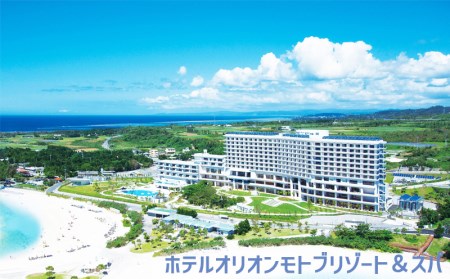 【本部町】しろくまツアーで利用可能なWEB旅行クーポン（60万円分）