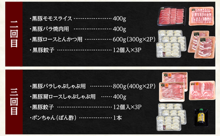 2030-1 黒豚 バラエティ ふるさと 定期A【 全5回 】 KN038-T03 豚肉 定期便 しゃぶしゃぶ トンカツ 鍋 焼き肉 ギョーザ 焼き豚 チャーシュー 叉焼 お楽しみ 和田養豚 ふるさと