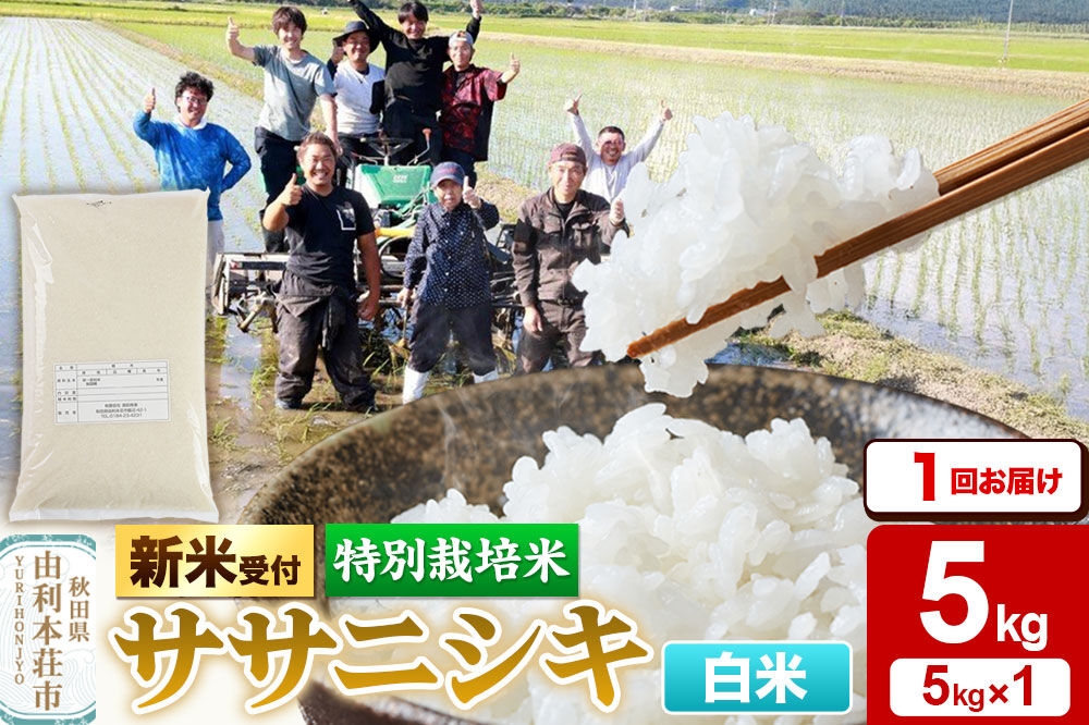 
                  《令和8年産 新米受付》【白米】特別栽培米 ササニシキ 5kg（5kg×1袋） [ササニシキ 新米予約 先行予約 米 お米 こめ 白米 精米 ブランド米 食卓 おにぎり 秋田県産 秋田]
                