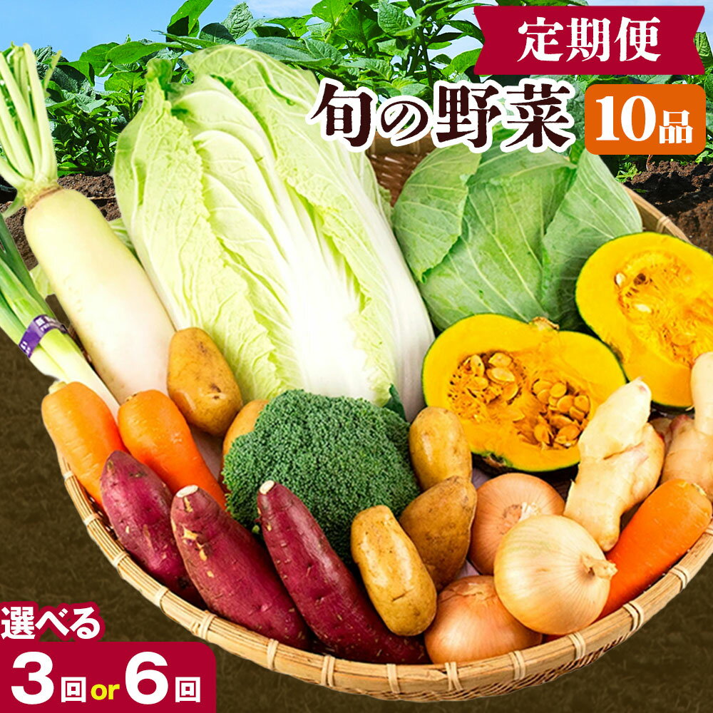 【ふるさと納税】旬の野菜定期便 計3回 計6回 旬の野菜 10品【養生市場】定期便 品種おまかせ ランダム 3ヶ月お届け 計3回 6ヶ月お届け 計6回詰め合わせ セット 野菜 九州産 熊本県産《お申し込みの翌月から出荷》