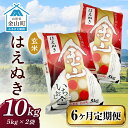 【ふるさと納税】 令和6年産《定期便》 金山産米 はえぬき【玄米】（5kg×2袋）×6ヶ月計60kg 定期便 6ヶ月 米 お米 ご飯 玄米 ブランド米 送料無料 東北 山形 金山町 F4B-0524