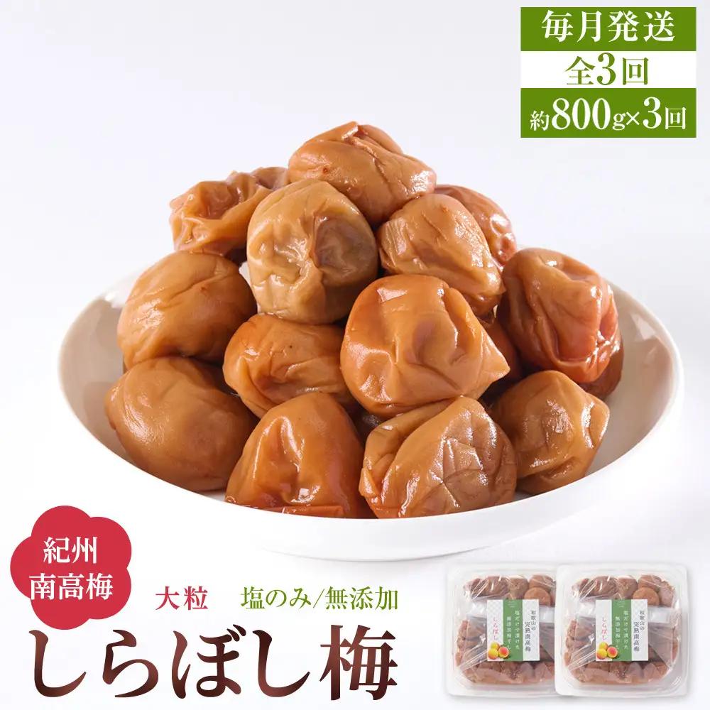 梅干し しらぼし梅  約800g（約400g×2） 塩のみ 無添加 大粒 紀州南高梅 塩分約15％ 和歌山県産 [ 定期便 毎月発送・全3回 ]