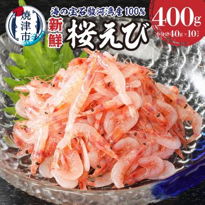 ふるさと納税 焼津市 静岡県漁連 お刺身用生桜えび(a12-327)