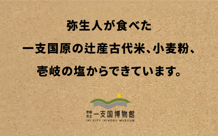 【全2回定期便】人面石クッキー　塩(2箱)《壱岐市》【壱岐市立一支国博物館　指定管理者　株式会社パブリックビジネスジャパン】お菓子 スイーツ クッキー おやつ キャラ [JBP007]