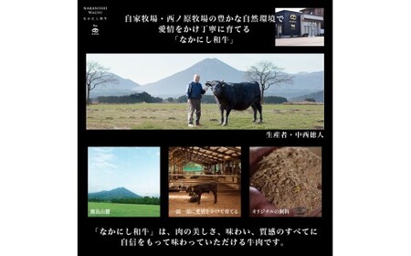 宮崎県西ノ原牧場・なかにしプレミアム和牛サーロインステーキ 540g（国産 牛肉 肉 宮崎牛 黒毛和牛 お肉 サーロインステーキ なかにし和牛 ステーキ)
