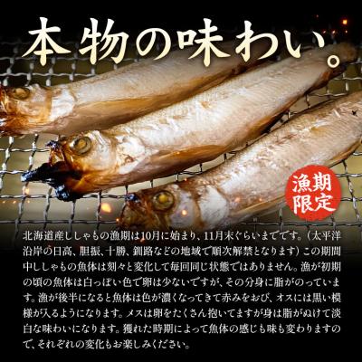 ふるさと納税 日高町 北海道産 ししゃも LL20尾セット(オス・メス各10尾) 有限会社阿部水産《14日以内に出荷予定》 |  | 01