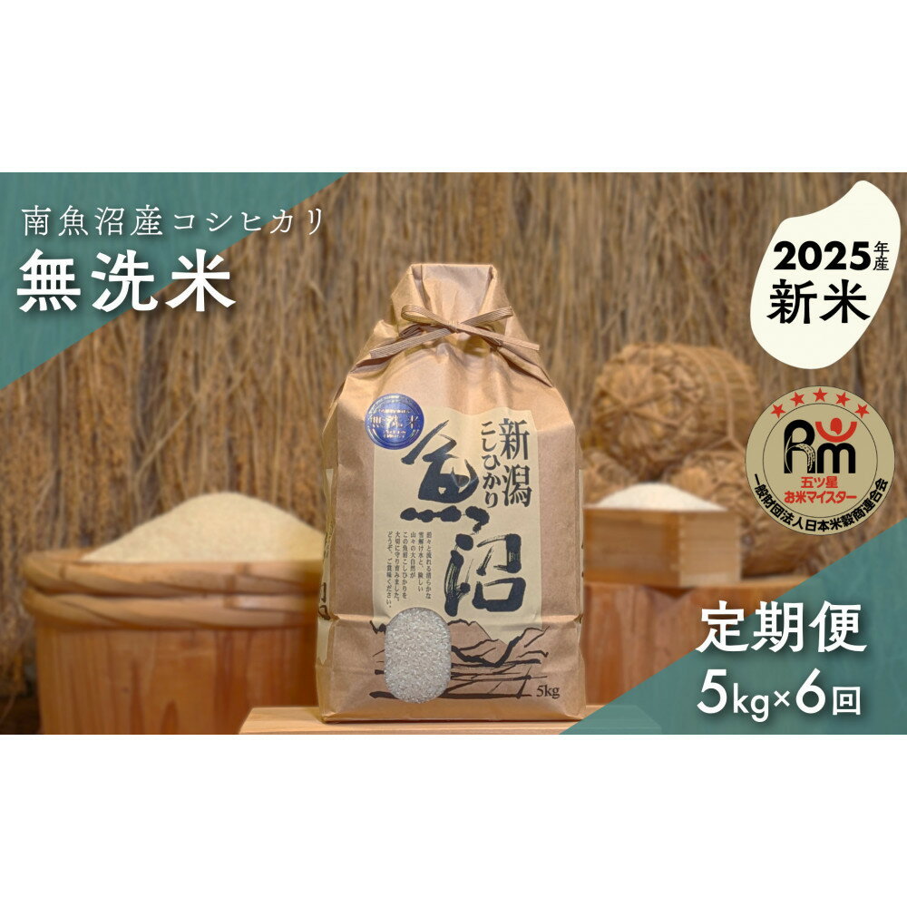 【ふるさと納税】【新米】令和7年産「五つ星お米マイスター」の南魚沼産コシヒカリ　無洗米5kg×6回（毎月定期便） | お米 こめ 白米 新之助 食品 人気 おすすめ 送料無料 魚沼 南魚沼