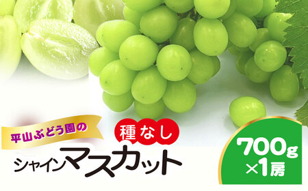 【2026年発送】シャインマスカット 700g (1房) 