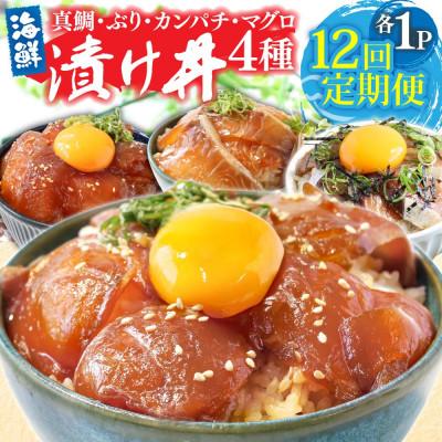 ふるさと納税 芸西村 【毎月定期便】高知の海鮮漬け丼4種(真鯛・ブリ・カンパチ・マグロ)各1食【t276kyf】全12回