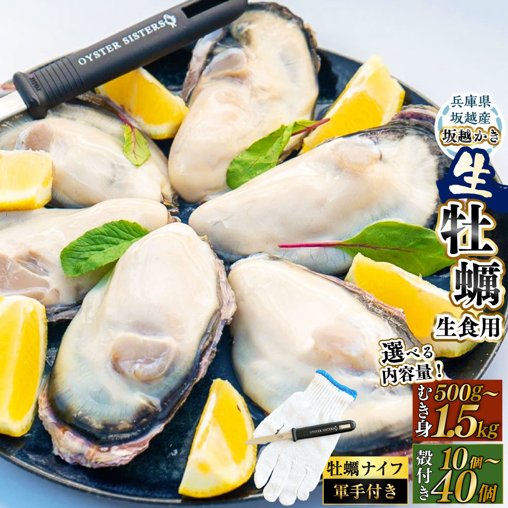 【ふるさと納税】＜選べる容量＞ 坂越かき 牡蠣ナイフ・軍手付き むき身 約500g×1パック＋殻付き 10個／むき身 約500g×2パック＋殻付き 20個／むき身 約500g×3パック＋殻付き 40個 ／ 牡蠣 かき カキ オイスター 魚介 海産物 ギフト 兵庫県 【2027年1月以降発送予定】