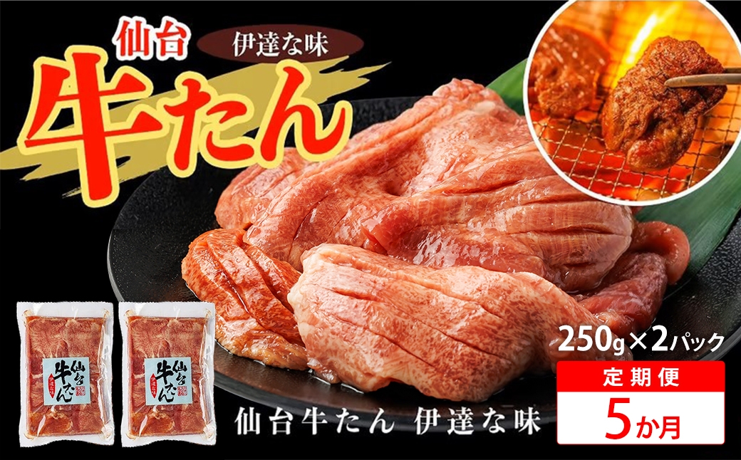 
                  【5か月定期便】仙台牛たん伊達な味（塩）　250g×2パック　【04209-0442】
                