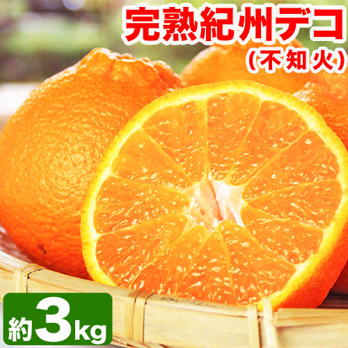 【先行予約】果肉プリプリ♪ 完熟紀州デコ(不知火) 約3kg 株式会社魚鶴商店《2026年2月下旬-3月中旬頃出荷》和歌山県 日高町 不知火 柑橘 果物 フルーツ デコポン
