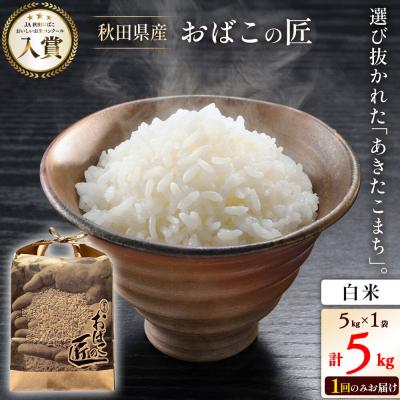 ふるさと納税 美郷町 おばこの匠 秋田県産あきたこまち 5kg(白米)|01_ymh-110501