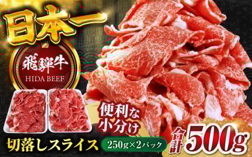 【4月発送】【飛騨牛】切落しスライス(250g×2) 和牛 焼肉 小分け 岐阜市/丸福商店 [ANBO003-4]