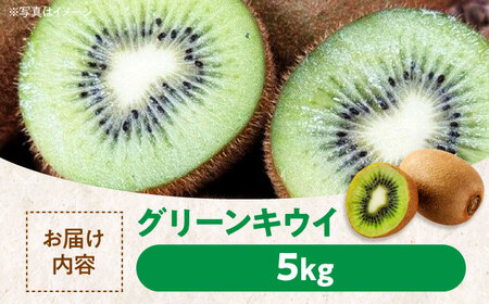 【先行予約】【12月上旬より順次発送】フルーツ セット 温州みかん 5kg グリーンキウイ 5kg （約40から50玉）  愛媛県大洲市/玉川農園[AGBC009] 果物 みかん ミカン キウイ キウ