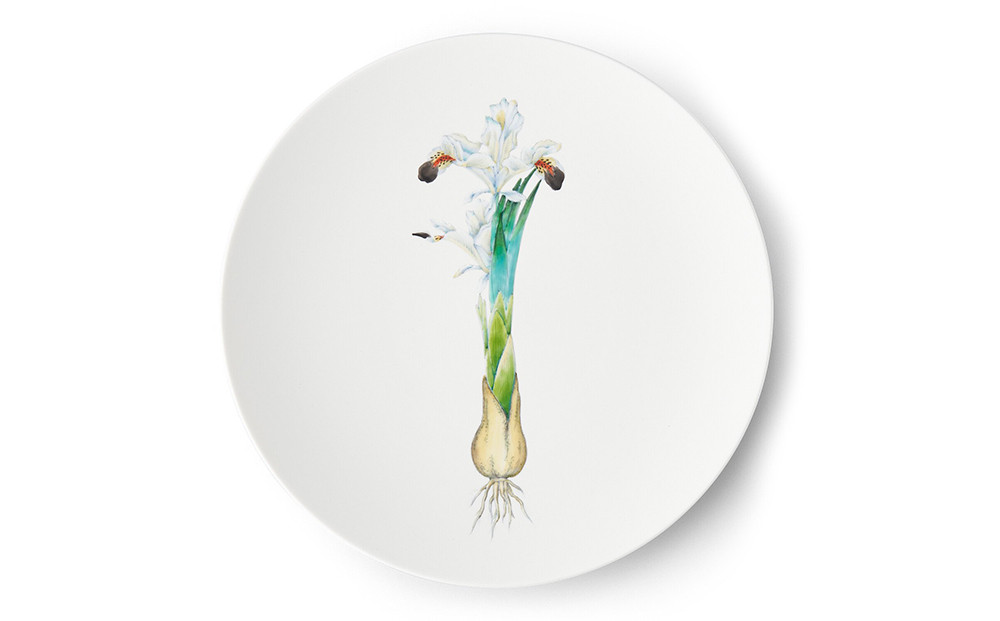 
【伊万里焼/畑萬陶苑】Restaurant MAISON（Paris）φ29cm Plate〈Iris〉
