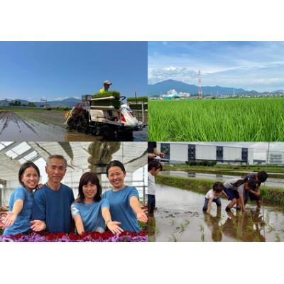 ふるさと納税 伊勢原市 新米[令和7年産]伊勢原産 精米10kg てんこもり 農家直送!加藤さんちのうんめぇ米 |  | 03