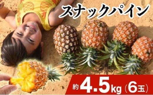 2027年 先行予約 スナックパイン 約4.5kg 6玉 西表島ひらい農園 パイナップル 果物 フルーツ パイン