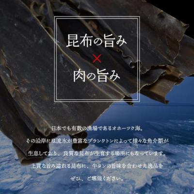 ふるさと納税 紋別市 紋別名物 流氷昆布締め牛タンブロック　1本 |  | 02