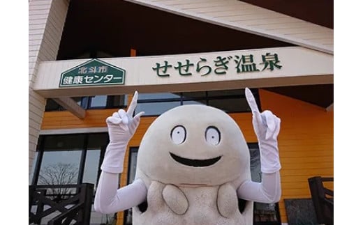 北斗市健康センター　せせらぎ温泉入浴回数券(11枚綴) HOKAI001