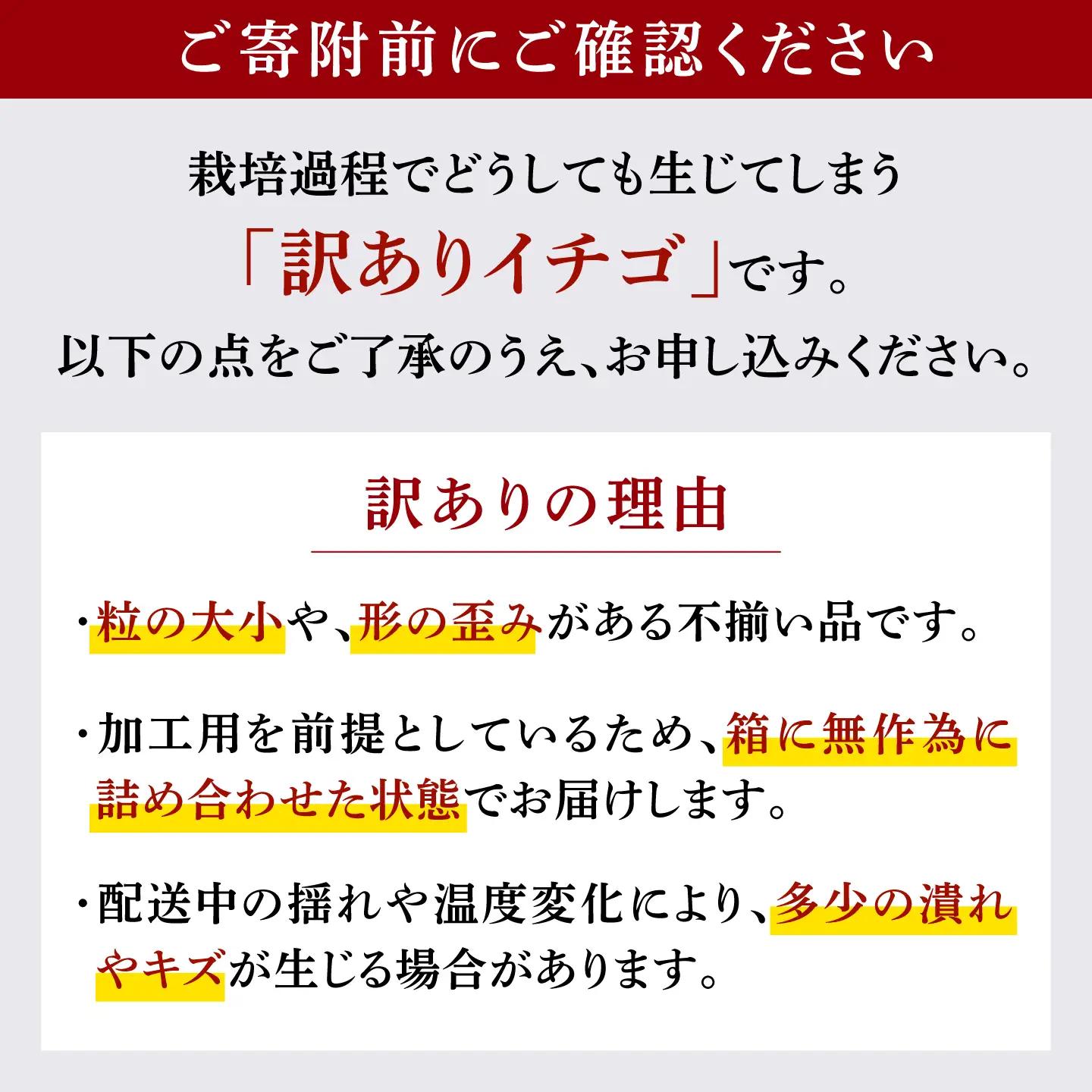 訳あり加工用いちご先行予約 恋みのり約2kg（1kg×2箱）有機栽培いちご苺イチゴZBB012