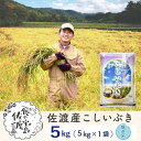 【ふるさと納税】佐渡島産 こしいぶき 無洗米5kg×1袋【令和5年産】～農薬5割減～ | お米 こめ 白米 食品 人気 おすすめ 送料無料