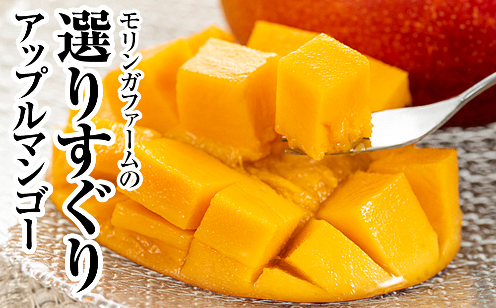 【2026年発送】直売所で厳選　沖縄県産「完熟マンゴー」2kg