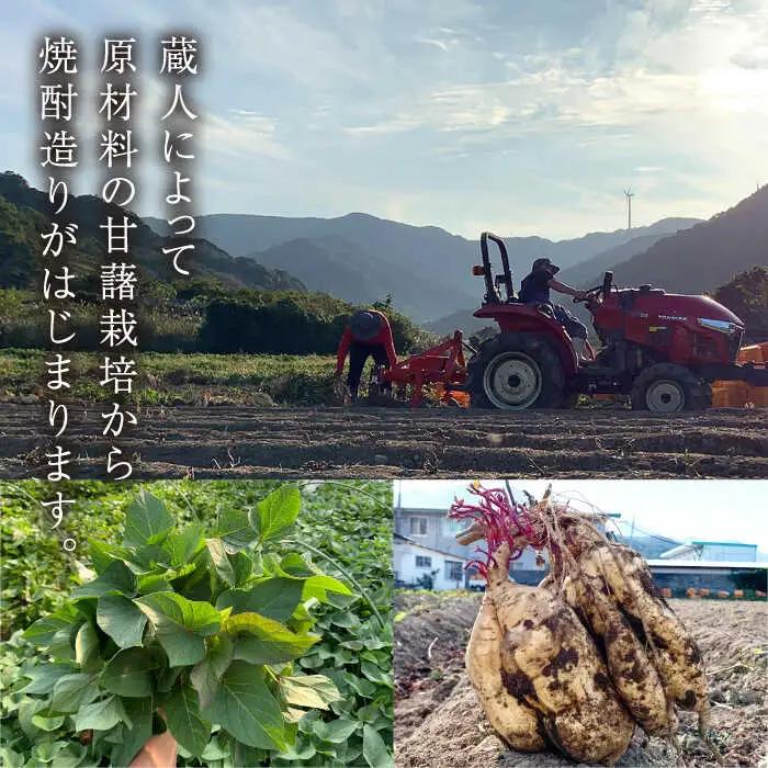 【全12回定期便】五島灘 黒麹 1800ml×1本[RAW035] 焼酎 芋焼酎 定期便 焼酎 芋焼酎 定期便 焼酎 芋焼酎 定期便 焼酎 芋焼酎 定期便 焼酎 芋焼酎 定期便九州 長崎