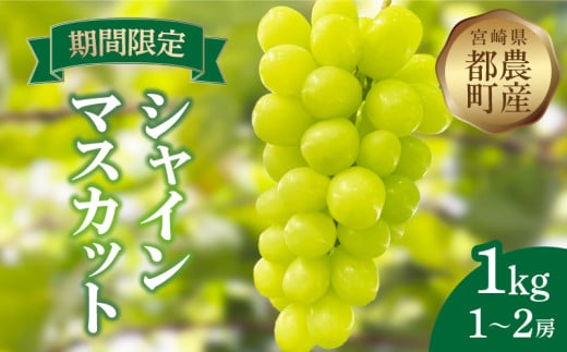 先行予約≪期間限定≫都農町産シャインマスカット(計1kg) ぶどう 果物 国産_T010-002