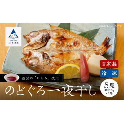 ふるさと納税 小松市 のどぐろ一夜干し詰め合わせセット 5尾(各120g) 干物のどぐろ 高級魚