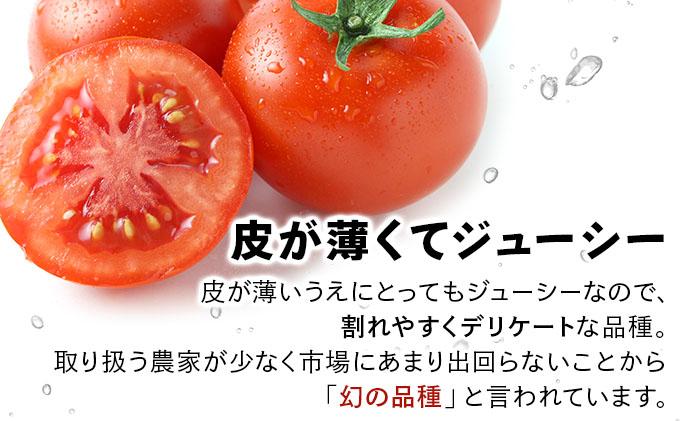 北海道産 ミニトマト ネネ 約3kg フルーツトマト 幻の 高糖度 ジューシー プチ トマト 甘い 濃厚 彩り 鮮やか 希少 お中元 お歳暮 暑中見舞い 帰省土産 ご自宅用 産地直送 大滝農園 送料無