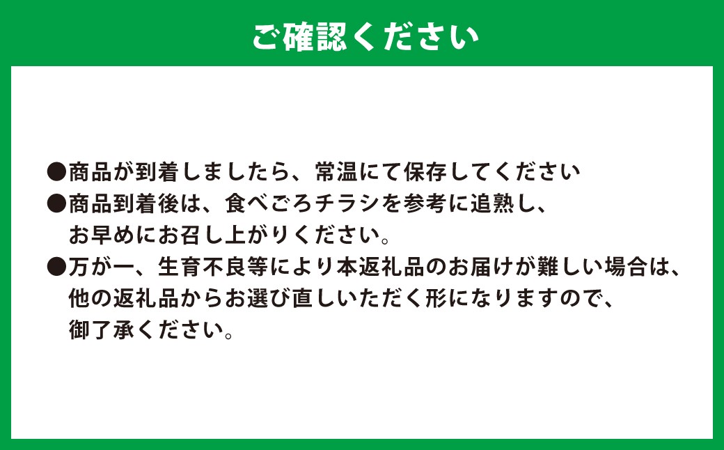 肥後グリーンメロン 1玉【2026年5月上旬発送開始】