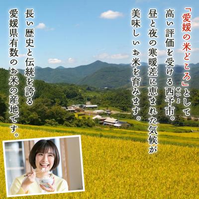 ふるさと納税 西予市 新米<令和7年産 西予市産 特別栽培米 エコえひめ コシヒカリ 白米 約5kg>国産 精米 |  | 03