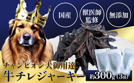 【9月30日受付終了】ペット 牛チレジャーキー ( 脾臓 ) 約300g 