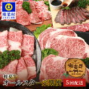 【ふるさと納税】【定期便 5回】総重量3.5kg！椎葉牛オールスター 定期便 ≪ローストビーフ・切り落とし・焼き肉・スライス・ステーキ≫【A5等級指定 黒毛和牛】【TK-62】｜送料無料 牛 肉 人気 黒毛和牛 和牛 国産牛 国産 ブランド牛 A5等級 定期便 厳選 BBQ すき焼き｜